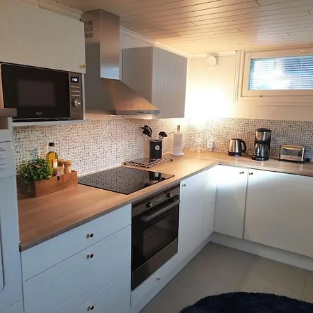 Yksityinen Kellarikerros Omalla Sisaeaenkaeynnillae, Pietarsaari 아파트 피탈사리