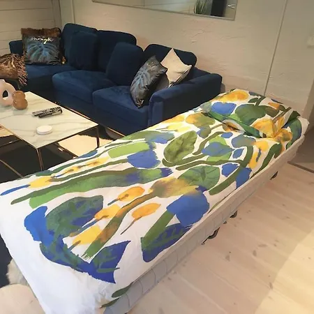 Yksityinen Kellarikerros Omalla Sisaeaenkaeynnillae, Pietarsaari * Jakobstad